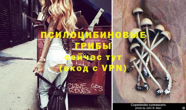герыч Вязники